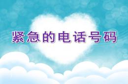 中班社會活動緊急的電話號碼PPT課件配音音樂