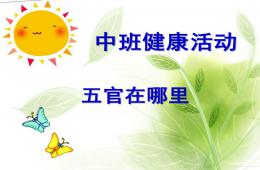 中班健康五官在哪里PPT課件