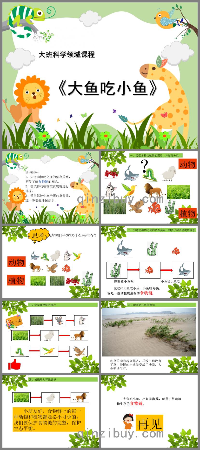大班科學大魚吃小魚PPT課件