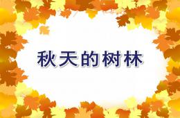 中班美術(shù)秋天的樹(shù)林PPT課件