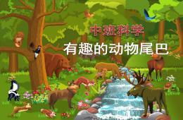 中班科學有趣的動物尾巴PPT課件