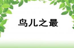 中班科學(xué)鳥兒之最PPT課件