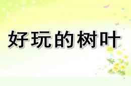 中班區域活動好玩的樹葉PPT課件