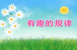 中班科學(xué)活動(dòng)有趣的規(guī)律PPT課件