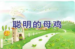 中班語言故事聰明的母雞PPT課件
