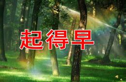 中班語言起得早PPT課件配音音樂
