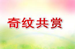 小班科學奇紋共賞PPT課件