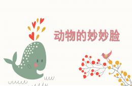中班科學動物的妙妙臉PPT課件