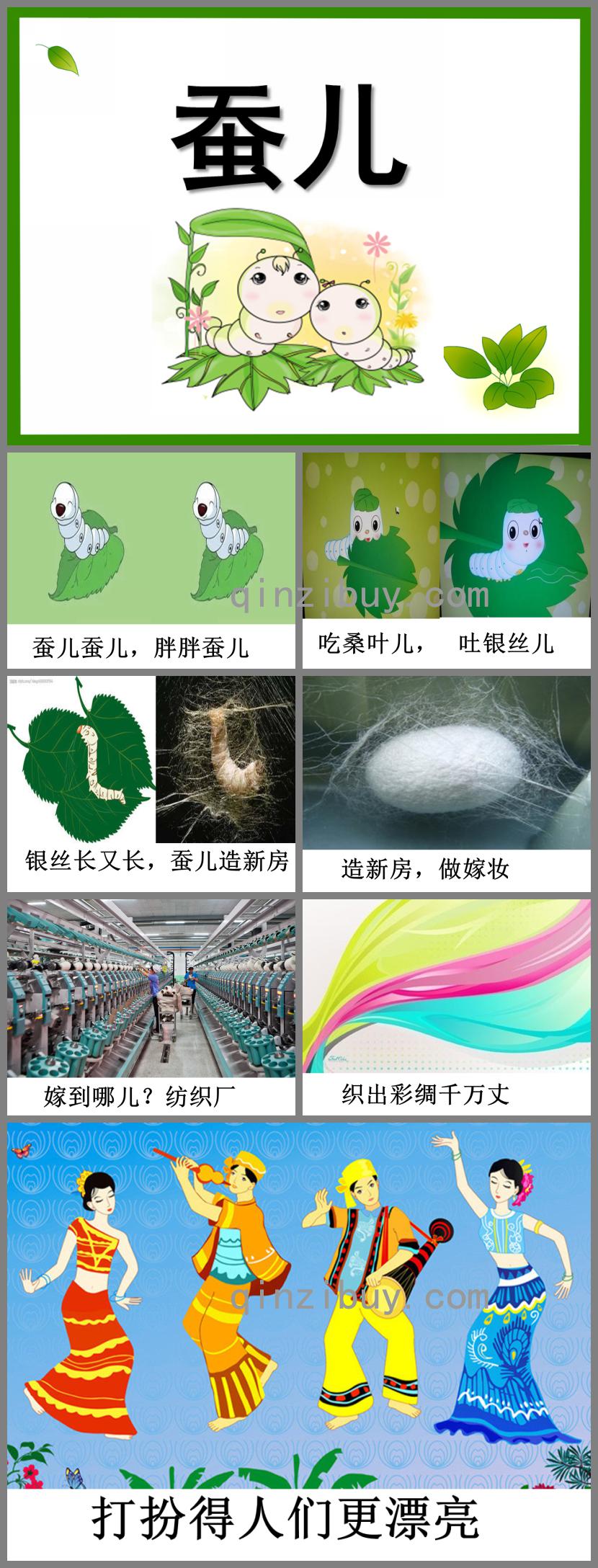 中班語言蠶兒PPT課件