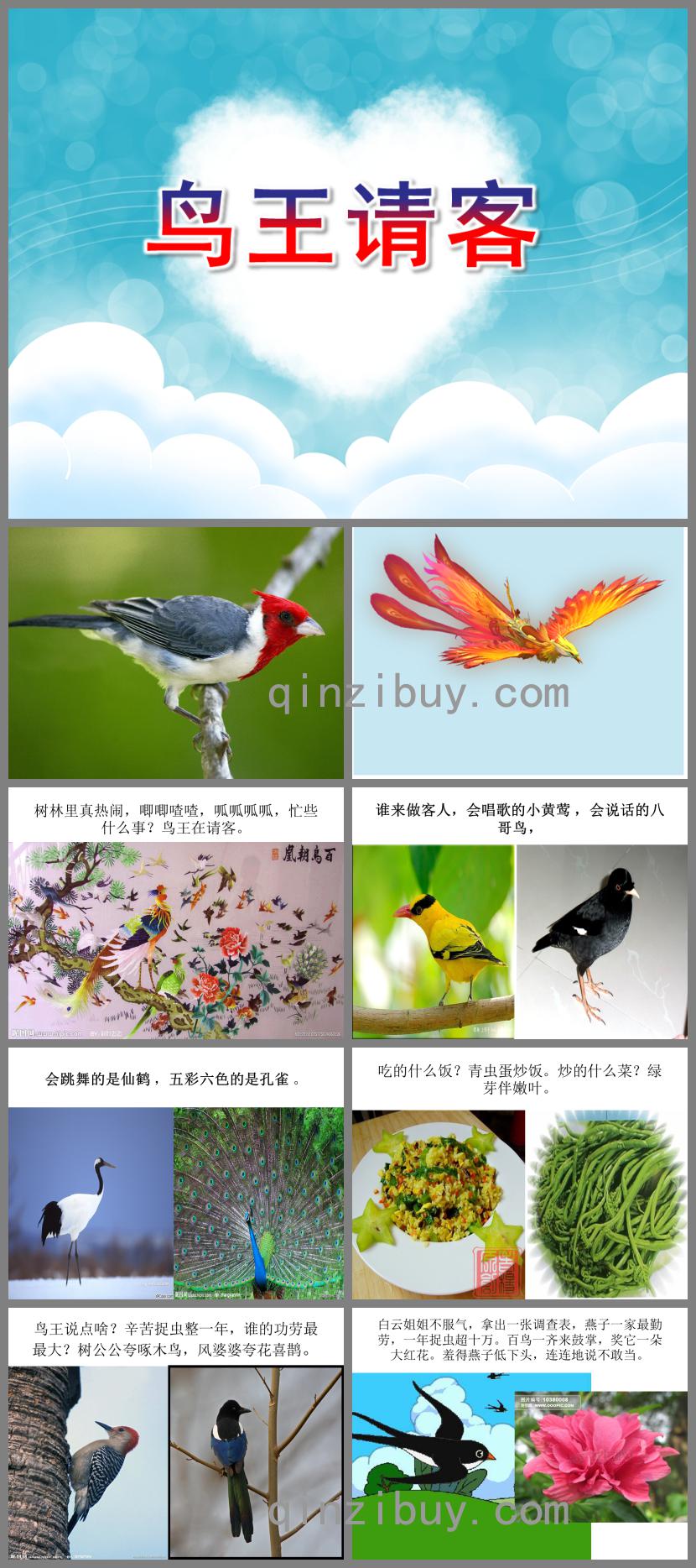 中班語言優(yōu)質課鳥王請客PPT課件