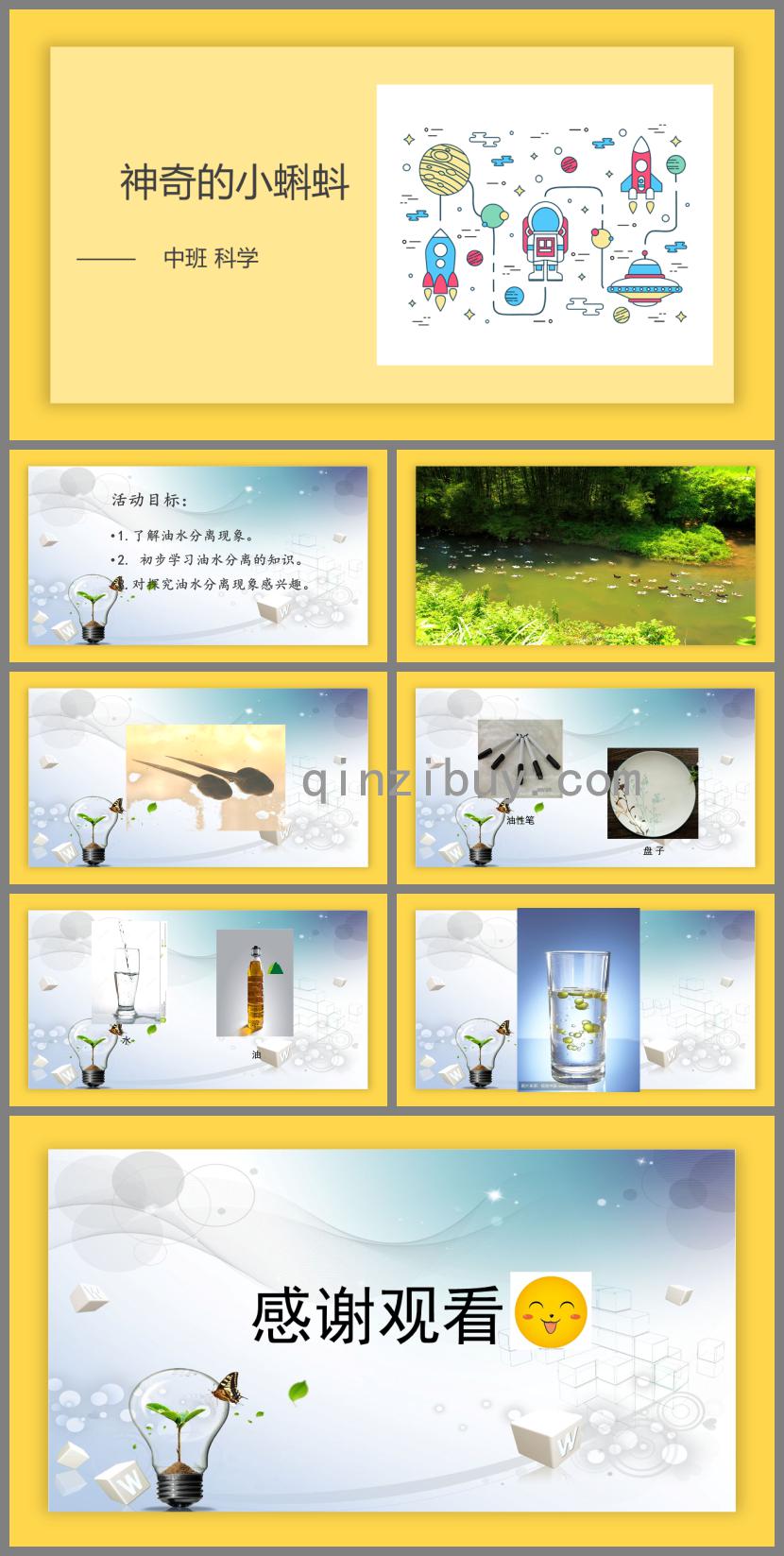 中班科學神奇的小蝌蚪PPT課件