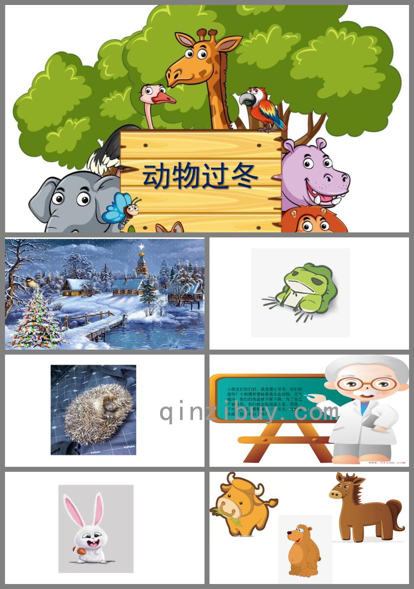 中班科學(xué)活動課動物過冬PPT課件