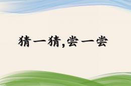 小班科學猜一猜-嘗一嘗PPT課件