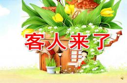 大班音樂客人來了PPT課件音樂