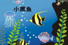 大班語言小黑魚PPT課件