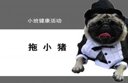 小班體育游戲拖小豬PPT課件