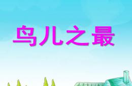 幼兒園科學鳥兒之最PPT課件的