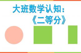 大班數學認知二等分PPT課件