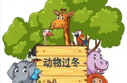 中班科學(xué)活動課動物過冬PPT課件