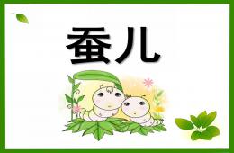 中班語言蠶兒PPT課件
