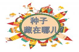 大班科學公開課種子藏在哪里PPT課件