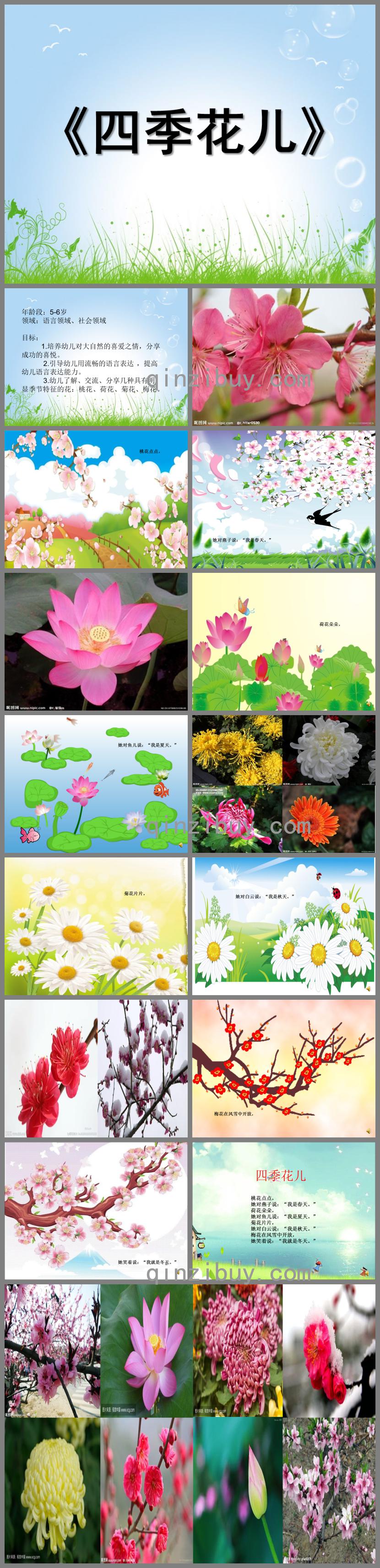 大班語言四季花兒PPT課件