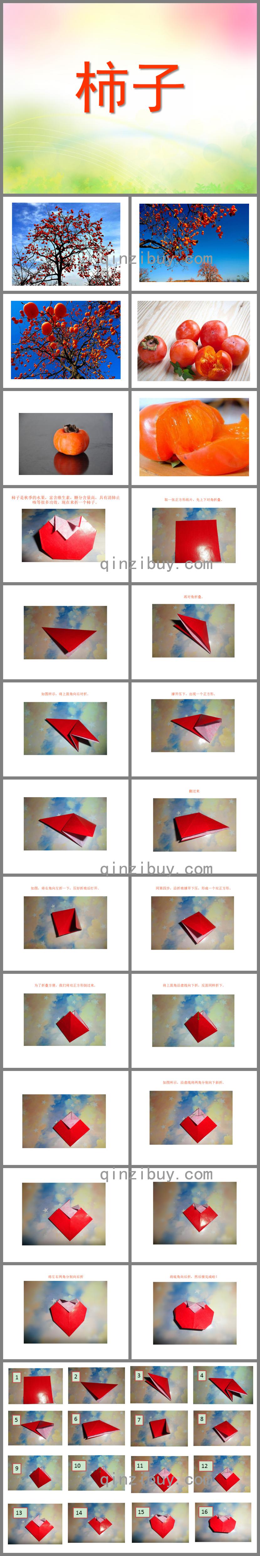 大班藝術(shù)活動柿子樹PPT課件