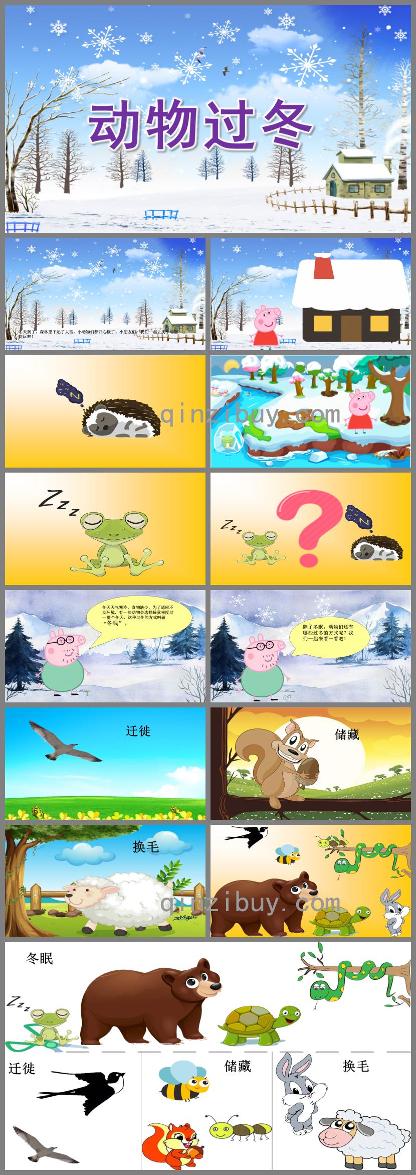 大班科學(xué)動物過冬PPT課件