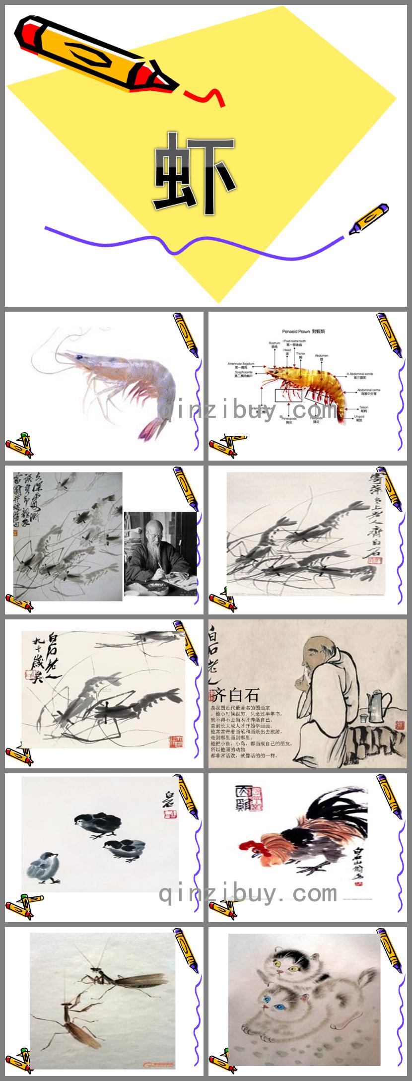 大班美術欣賞蝦PPT課件