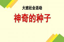 大班社會活動神奇的種子PPT課件