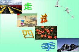 大班社會走過四季PPT課件