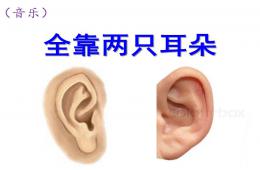 托班音樂全靠兩只耳朵PPT課件