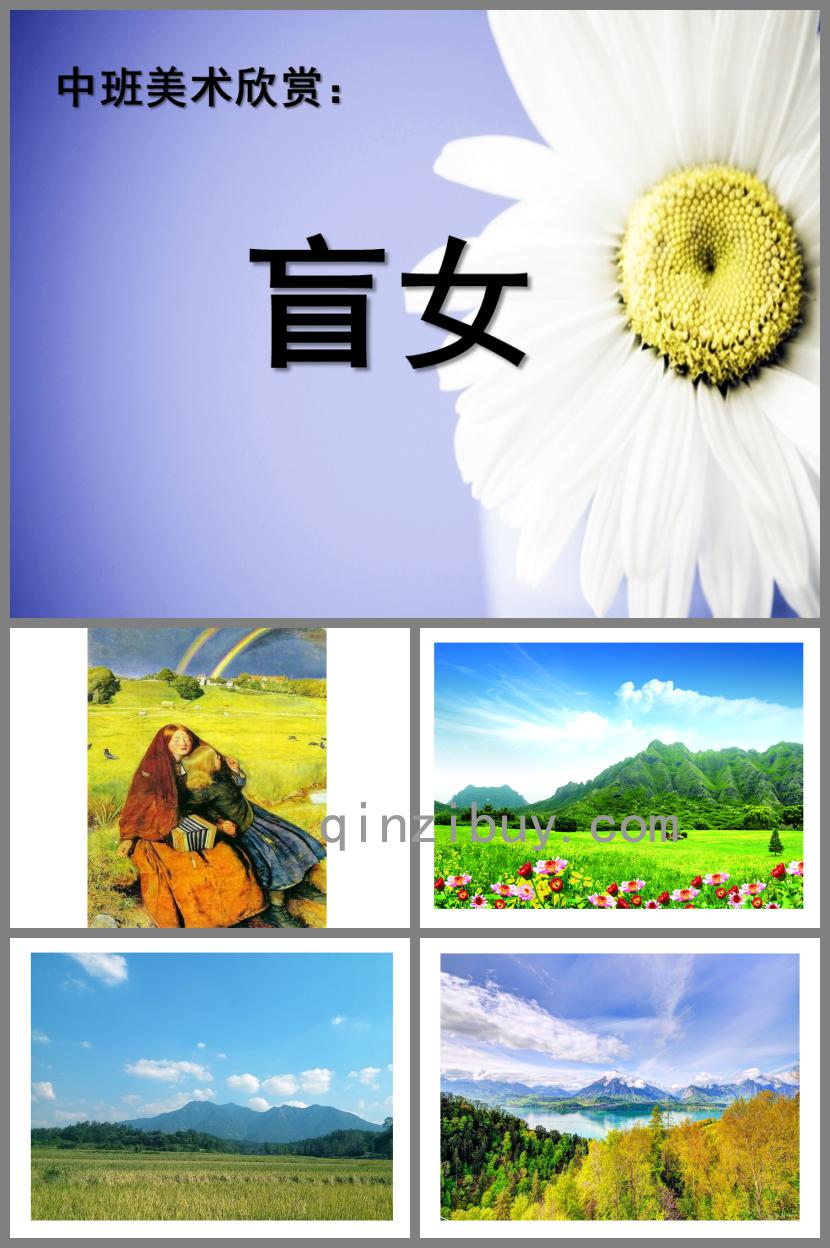 中班美術(shù)盲女PPT課件