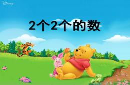 大班數(shù)學2個2個的數(shù)PPT課件