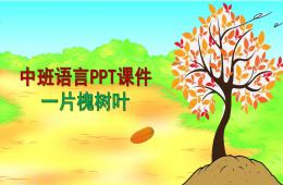 中班語言一片槐樹葉PPT課件