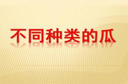 中班科學不同種類的瓜PPT課件