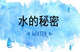 幼兒園科學活動水的秘密PPT課件