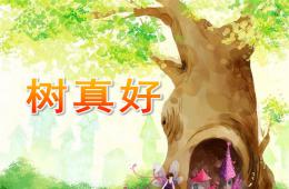 大班語言活動樹真好PPT課件