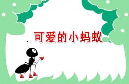 中班音樂可愛的小螞蟻PPT課件