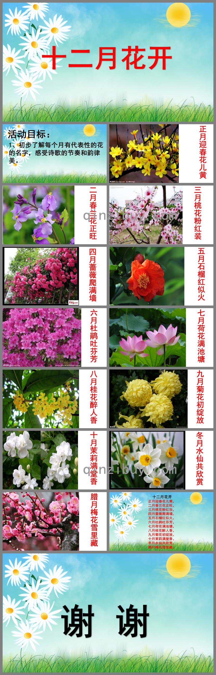 大班十二月花開PPT課件