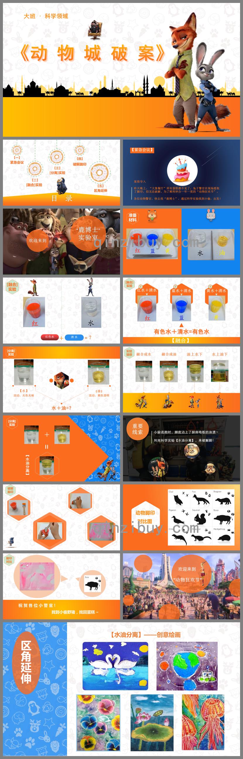 大班科學動物城破案PPT課件