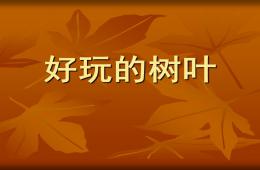 幼兒園園所活動(dòng)好玩的樹(shù)葉PPT課件
