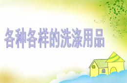 中班科學(xué)活動各種各樣的洗滌用品PPT課件