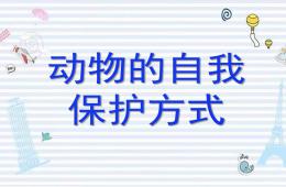 中班科學(xué)動物的自我保護方式PPT課件