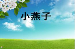 幼兒園語言活動小燕子PPT課件