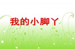 小班社會活動我的小腳丫PPT課件