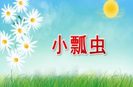 小班數學小瓢蟲PPT課件音樂