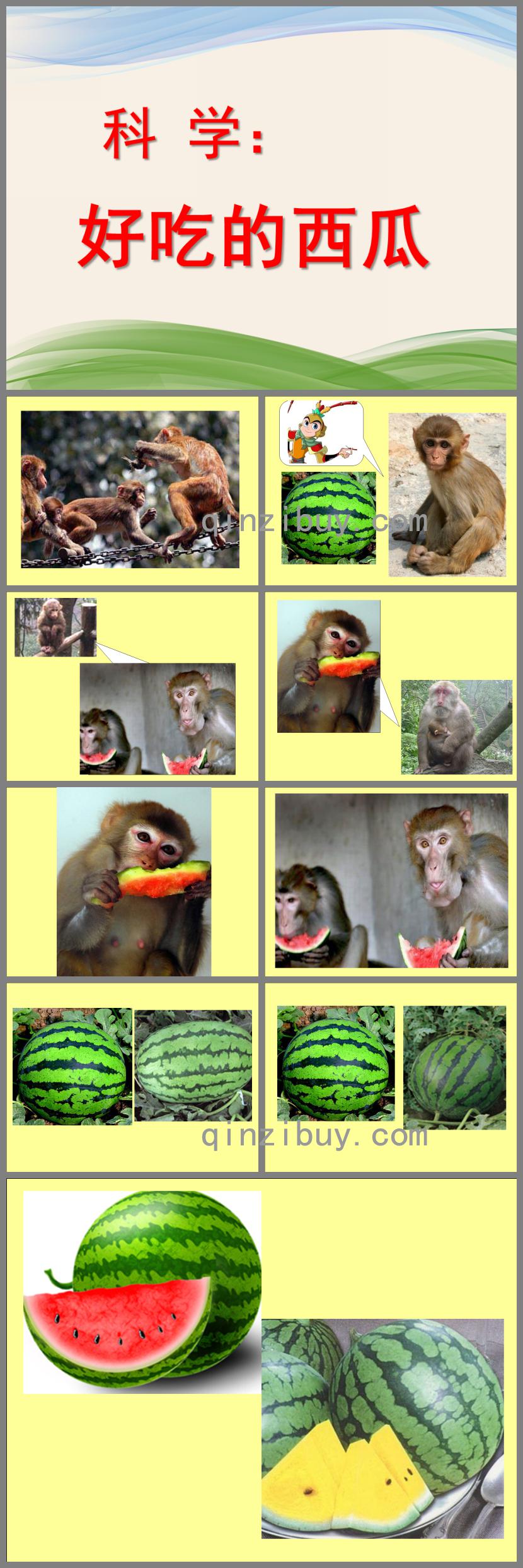 小班科學(xué)活動好吃的西瓜PPT課件