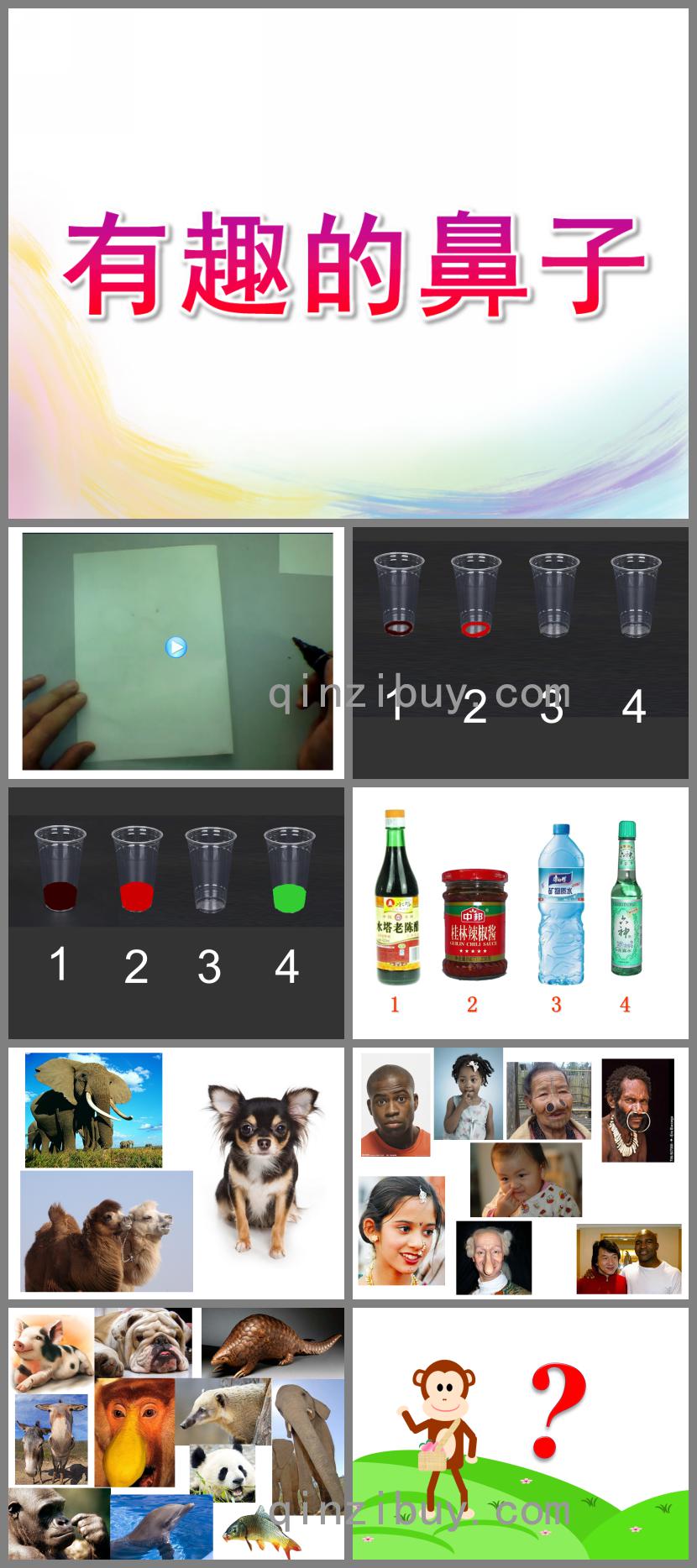 中班綜合有趣的鼻子PPT課件視頻