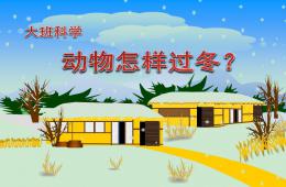 大班科學活動動物怎樣過冬PPT課件